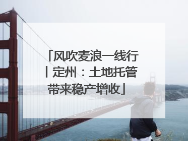 风吹麦浪一线行丨定州：土地托管带来稳产增收