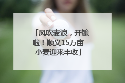 风吹麦浪，开镰啦！顺义15万亩小麦迎来丰收