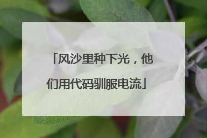 风沙里种下光，他们用代码驯服电流