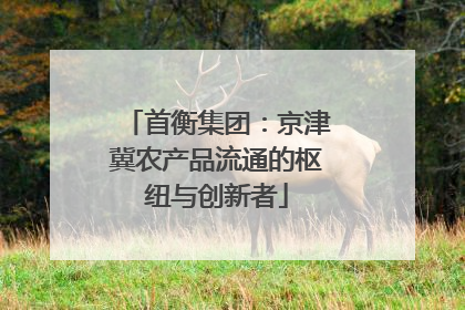 首衡集团：京津冀农产品流通的枢纽与创新者