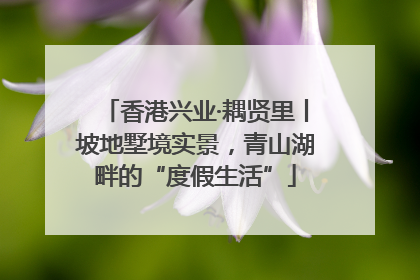 香港兴业·耦贤里丨坡地墅境实景，青山湖畔的“度假生活”
