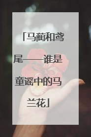 马蔺和鸢尾——谁是童谣中的马兰花
