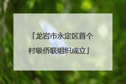 龙岩市永定区首个村级侨联组织成立