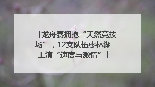 龙舟赛拥抱“天然竞技场”，12支队伍枣林湖上演“速度与激情”