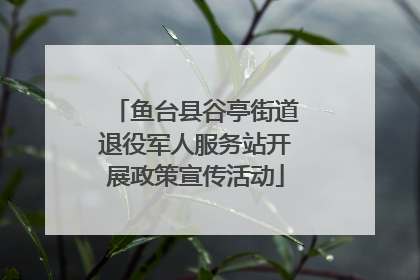 鱼台县谷亭街道退役军人服务站开展政策宣传活动