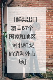 鲜梨出口覆盖67个国家和地区 河北鲜梨俏销海外市场