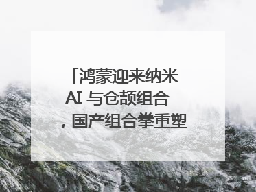 鸿蒙迎来纳米 AI 与仓颉组合，国产组合拳重塑AI搜索体验｜新经济观察