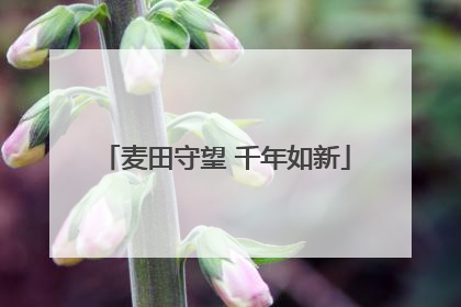 麦田守望 千年如新