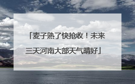 麦子熟了快抢收！未来三天河南大部天气晴好
