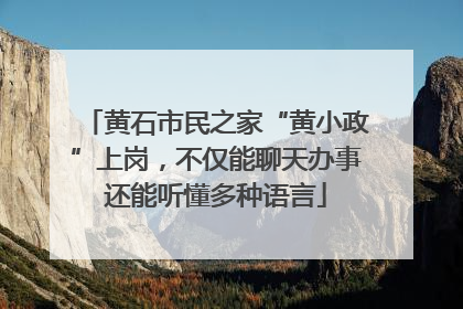 黄石市民之家“黄小政”上岗，不仅能聊天办事还能听懂多种语言