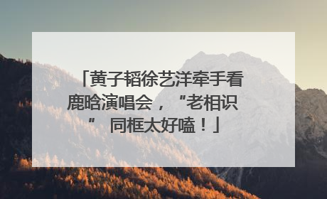 黄子韬徐艺洋牵手看鹿晗演唱会，“老相识” 同框太好嗑！