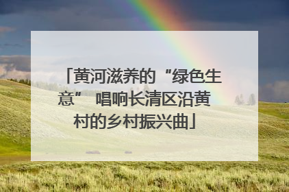 黄河滋养的“绿色生意” 唱响长清区沿黄村的乡村振兴曲