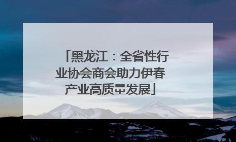 黑龙江：全省性行业协会商会助力伊春产业高质量发展