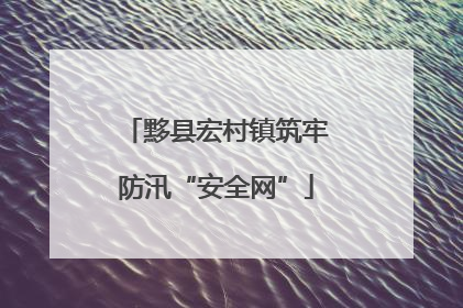 黟县宏村镇筑牢防汛“安全网”