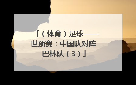（体育）足球——世预赛：中国队对阵巴林队（3）