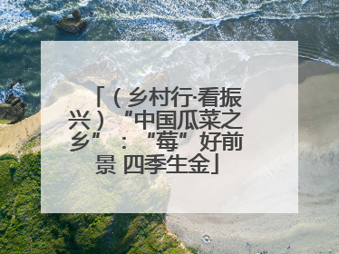 （乡村行·看振兴）“中国瓜菜之乡”：“莓”好前景 四季生金