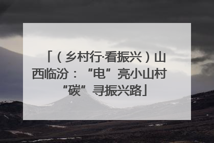 （乡村行·看振兴）山西临汾：“电”亮小山村 “碳”寻振兴路