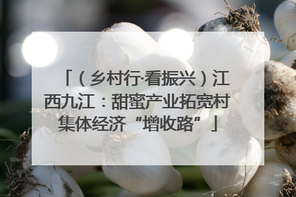 （乡村行·看振兴）江西九江：甜蜜产业拓宽村集体经济“增收路”