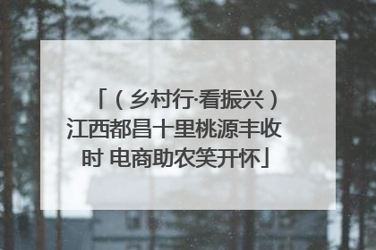 （乡村行·看振兴）江西都昌十里桃源丰收时 电商助农笑开怀