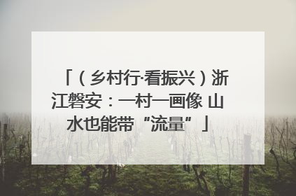 （乡村行·看振兴）浙江磐安：一村一画像 山水也能带“流量”