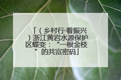 （乡村行·看振兴）浙江黄岩水源保护区蝶变：“一根金枝”的共富密码