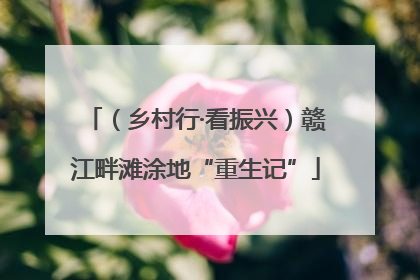 （乡村行·看振兴）赣江畔滩涂地“重生记”