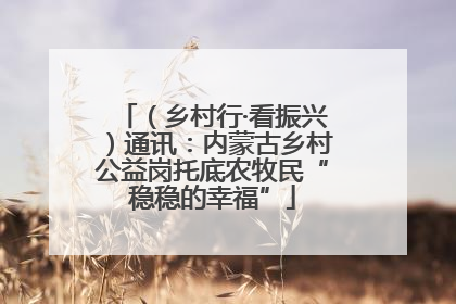 （乡村行·看振兴）通讯：内蒙古乡村公益岗托底农牧民“稳稳的幸福”