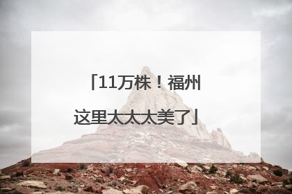 11万株！福州这里太太太美了