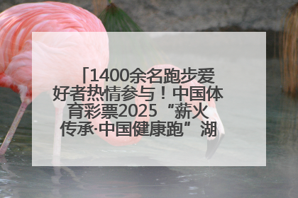 1400余名跑步爱好者热情参与！中国体育彩票2025“薪火传承·中国健康跑”湖南靖州站激情开赛