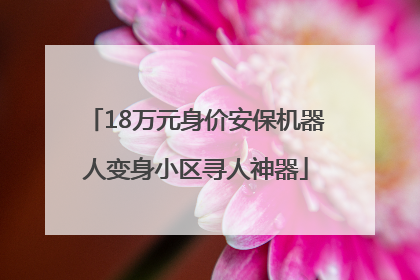 18万元身价安保机器人变身小区寻人神器