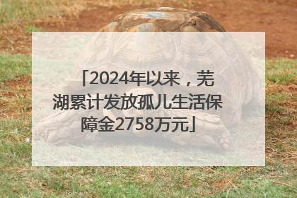2024年以来，芜湖累计发放孤儿生活保障金2758万元