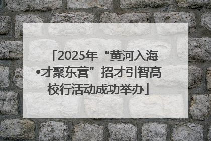 2025年“黄河入海•才聚东营”招才引智高校行活动成功举办