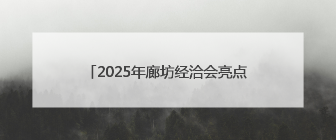 2025年廊坊经洽会亮点抢先看丨离境退税“即买即退”便利国际友人“买买买”