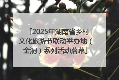 2025年湖南省乡村文化旅游节联动举办地（金洞）系列活动落幕