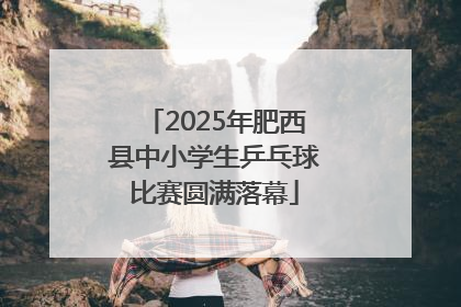 2025年肥西县中小学生乒乓球比赛圆满落幕