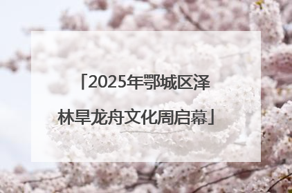 2025年鄂城区泽林旱龙舟文化周启幕