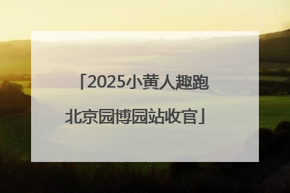 2025小黄人趣跑北京园博园站收官