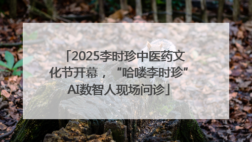 2025李时珍中医药文化节开幕，“哈喽李时珍”AI数智人现场问诊