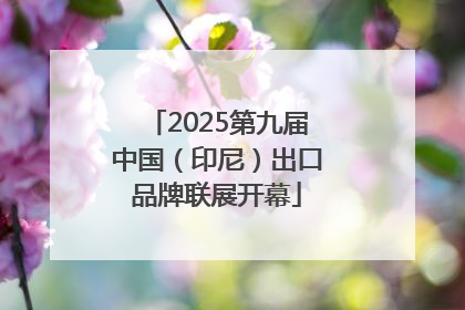 2025第九届中国（印尼）出口品牌联展开幕
