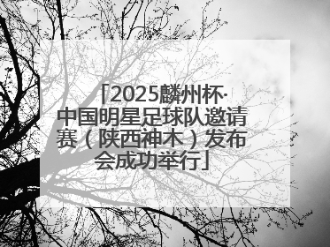 2025麟州杯·中国明星足球队邀请赛（陕西神木）发布会成功举行