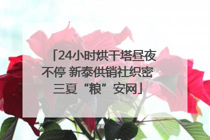 24小时烘干塔昼夜不停 新泰供销社织密三夏“粮”安网