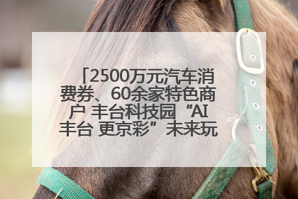 2500万元汽车消费券、60余家特色商户 丰台科技园“AI丰台 更京彩”未来玩家市集活动正式开幕