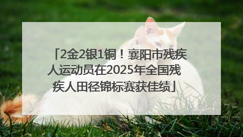 2金2银1铜！襄阳市残疾人运动员在2025年全国残疾人田径锦标赛获佳绩