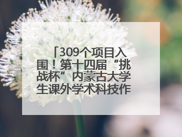 309个项目入围！第十四届“挑战杯”内蒙古大学生课外学术科技作品竞赛收官