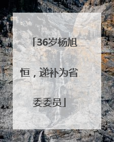 36岁杨旭恒，递补为省委委员