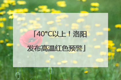 40°C以上！洛阳发布高温红色预警