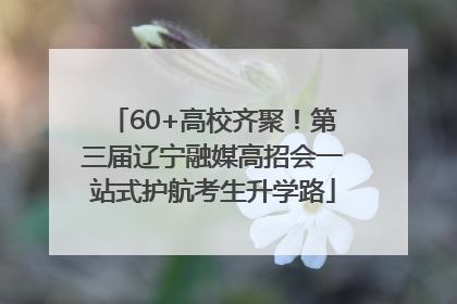 60+高校齐聚！第三届辽宁融媒高招会一站式护航考生升学路