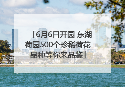 6月6日开园 东湖荷园500个珍稀荷花品种等你来品鉴