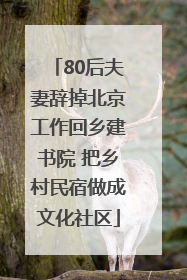 80后夫妻辞掉北京工作回乡建书院 把乡村民宿做成文化社区