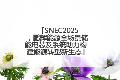 SNEC2025，鹏辉能源全场景储能电芯及系统助力构建能源转型新生态